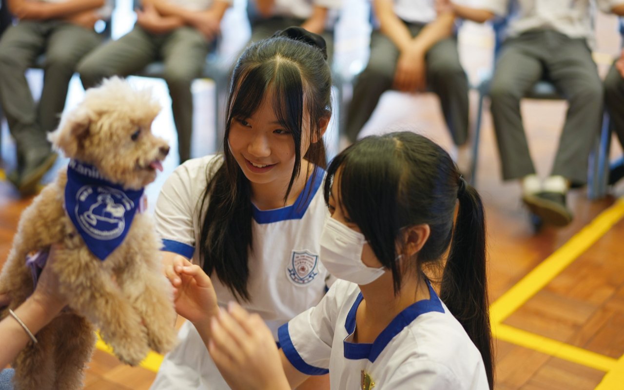 安排治療犬隻(狗教授)到校